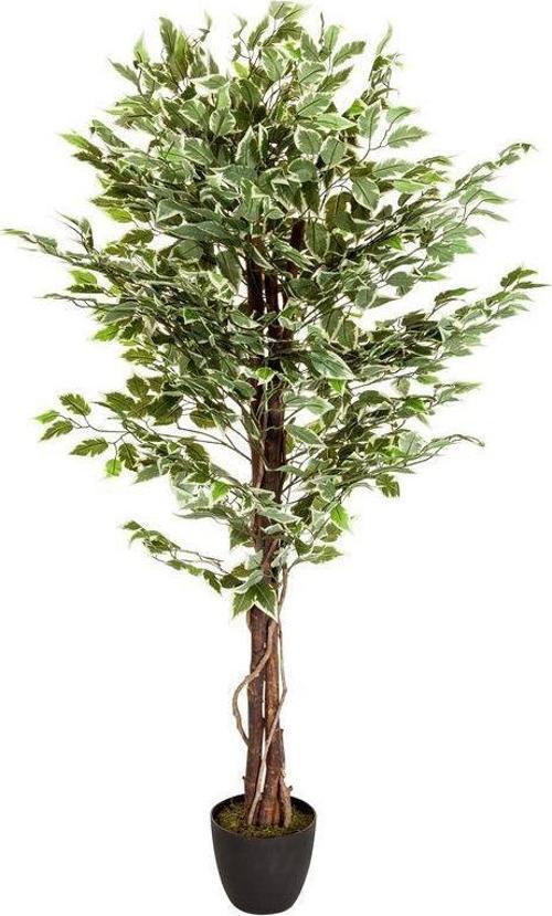 Yapay Ağaç Benjamin Yeşilbeyaz 2 Gövdeli Çalılı 165*80cm Siyah Plastik Saksılı