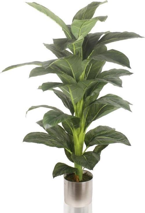 Yapay Ağaç Difenbahya Tropik Salon Bitkisi 170cm