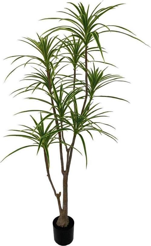 Yapay Ağaç Dracaena Ağacı 8Gövdeli 180cm Premium Kalite