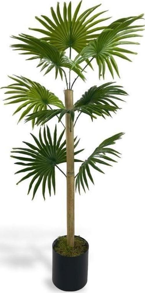Yapay Ağaç Fanpalm 8Yaprak 85*45cm Yelpaze Palmiye Siyah Aleminyum Saksı
