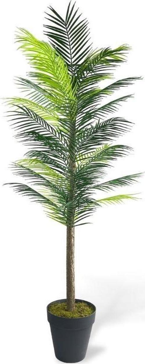 Yapay Ağaç Palmiye 160*70Cm 36 Yaprak Areka Ağacı Siyah Saksıda Tek Gövdeli