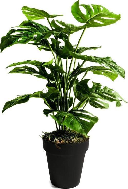 Yapay Ağaç Salon Bitkisi Monstera 60 cm 18 Yaprak Antrasit Saksıda