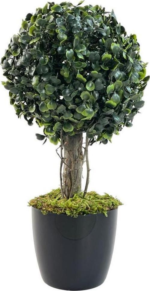 Yapay Ağaç Şimşir Top Tek Toplu 18x35cm Siyah Saksılı