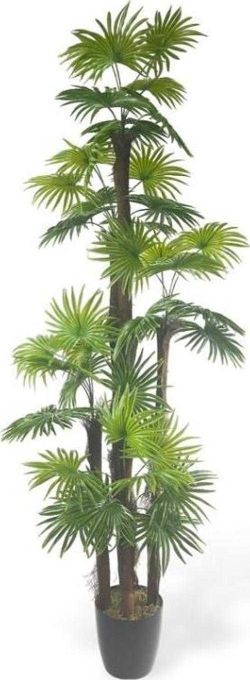 Yapay Ağaç Yelpaze Palmiye 5Katlı Fanpalm 40 Yaprak 180*65cm