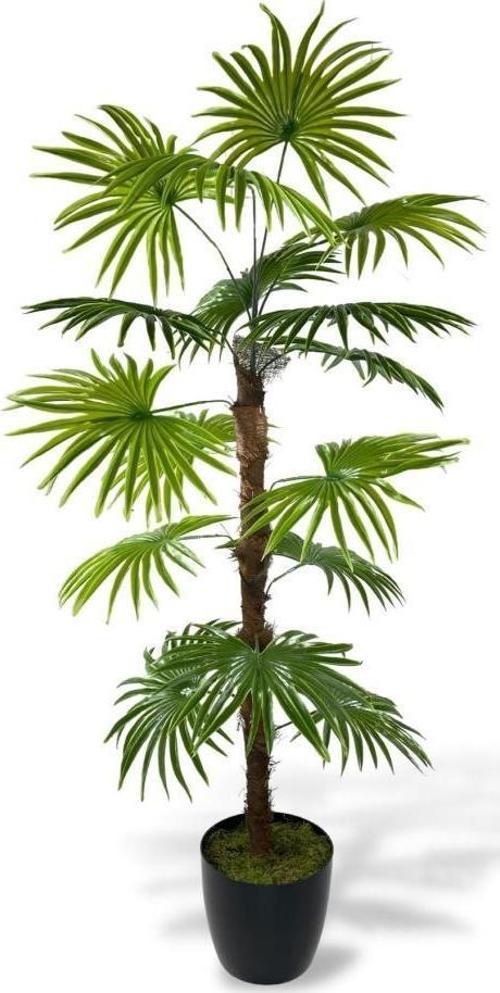 Yapay Ağaç Yelpaze Palmiye Fanpalm 16 Yaprak 115x55cm