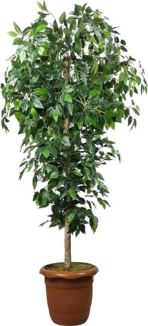 Yapay Ağaç Yeşil Benjamin170 cm Plastik Saksılı 1.Kalite Yapay Çiçek Dekoru