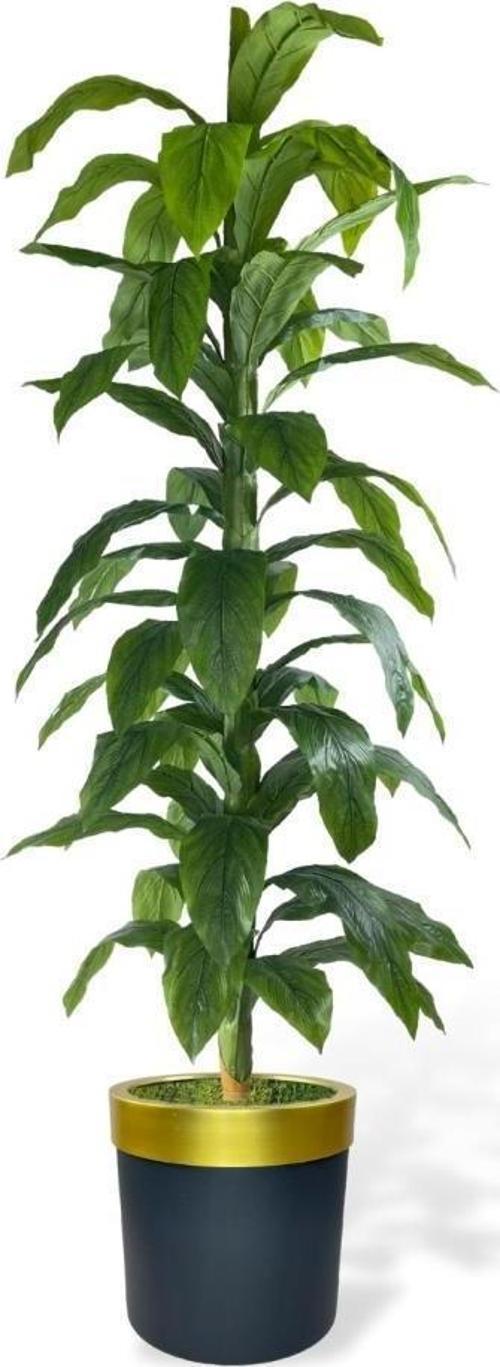 Nettenevime Yapay Ağaç Yukka Dracena 180x70cm Galvaniz Gold Kemerli Siyah Saksıda Salon Çiçeği Yapay Çiçek