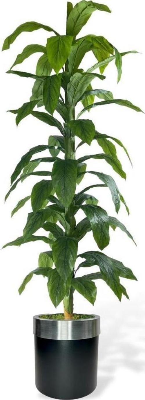 Yapay Ağaç Yukka Dracena 180*70cm Galvaniz Gümüş Kemerli Siyah Saksıda Salon Çiçeği Yapay Çiçek