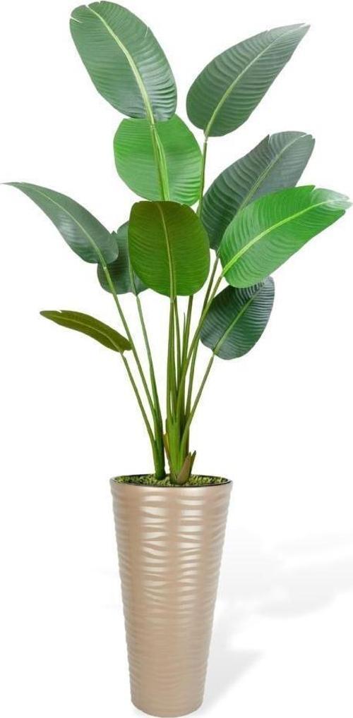 Yapay Ağacı Dore 57cm Uzun Kumsal Vazoda Muz Ağacı Yapay Starliçe 195cm 10 Yaprak