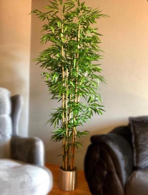 Yapay Bambu Ağacı 2 Metre Yoğun Yapraklı Galvaniz Saksılı