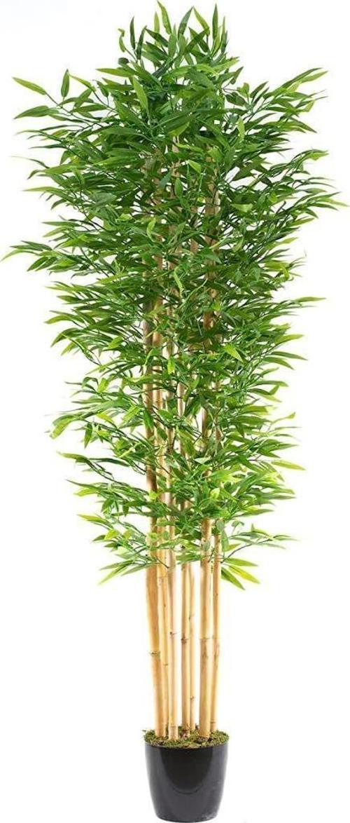 Yapay Bambu Ağacı 210cm Siyah Saksılı 7 dallı