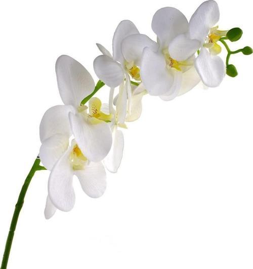 Yapay Çiçek Beyaz Islak Orkide Uzun Dal 90 cm Orkide