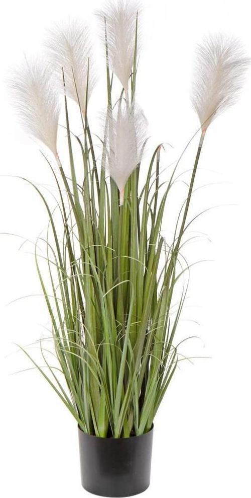 Yapay Çiçek Beyaz Püskül Grass Panpas Saz Siyah Aleminyum Saksıda