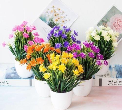 Yapay Çiçek 6 Adet Beyaz Saksıda Dolgun Mineli Şimşir Çiçeği Karışık Renkler