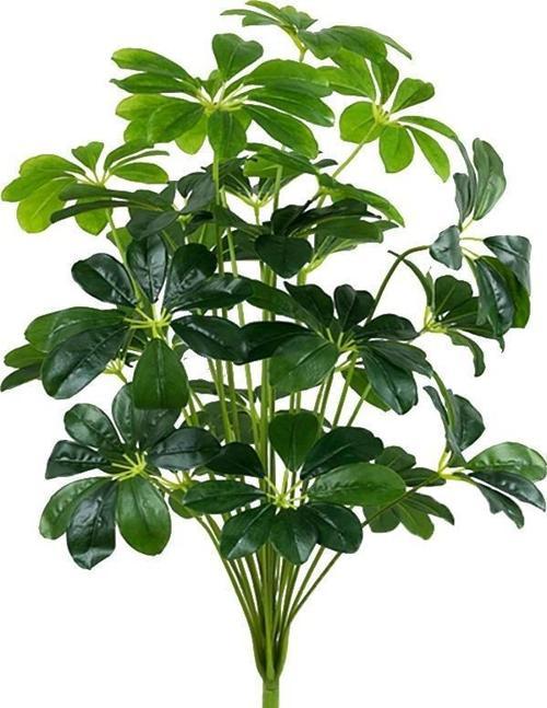 Yapay Çiçek Demet Şeflera Bitkisi 18Dal 75cm Salon Çiçeği Yapay Bitki Pachira Macrocarpa