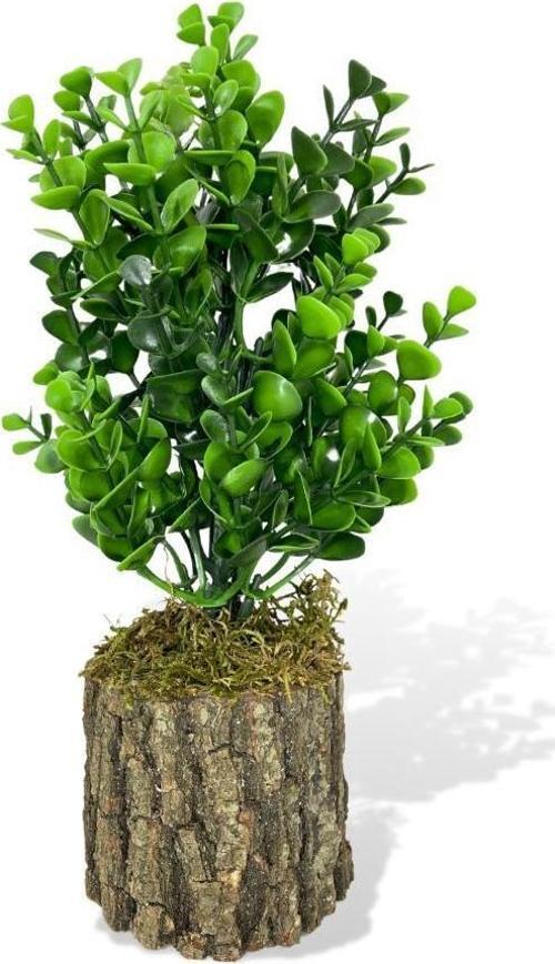 Yapay Çiçek Doğal Kütük Odun Saksıda Jumbo Şimşir Okaliptus Masa Çiçeği