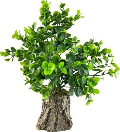 Yapay Çiçek Doğal Kütük Odun Saksıda Şimşir Okaliptus Masa Çiçeği