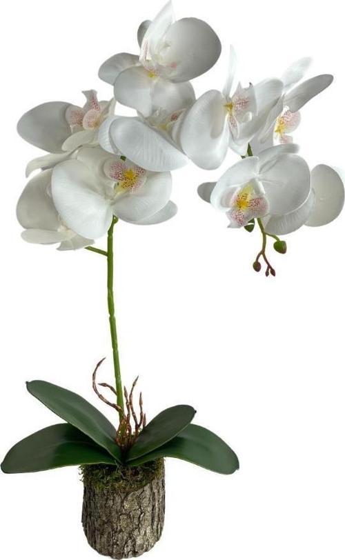 Yapay Çiçek Kütük Saksılı Tekdal Islak Orkide Beyaz 50*30cm