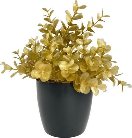 Yapay Çiçek Gold Renk Şimşir Siyah Saksıda Siyah Plastik Saksılı Dekoratif Süs Çiçeği