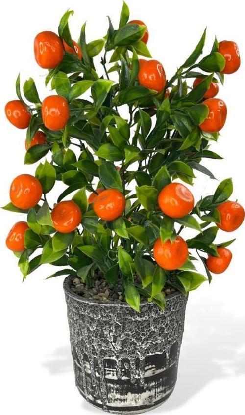 Yapay Çiçek Gri Seramik Saksıda Mandalina Ağacı 40cm