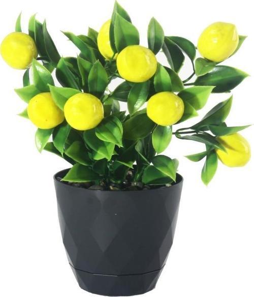 Yapay Çiçek Limon Ağacı Siyah Saksıda Ve Dekoratif