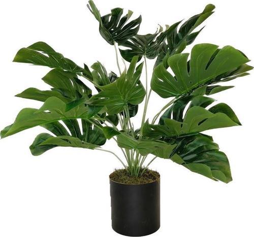 Yapay Çiçek Monstera Deve Tabanı Siyah Saksılı Salon Çiçeği 18 Yaprak 58cm
