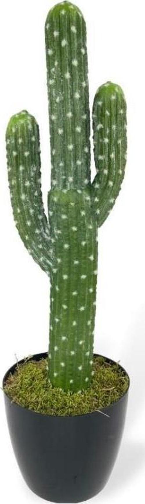 Yapay Çiçek Kaktüs Ağacı 3Kollu Siyah Saksıda 56*15cm sk4019