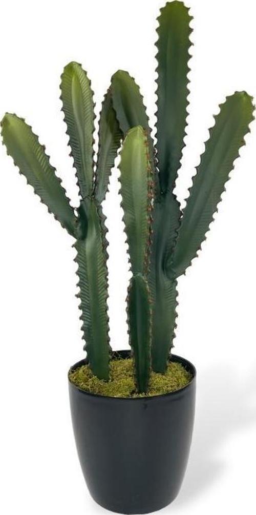 Yapay Çiçek Kaktüs Ağacı 3Köşeli 3Boy Siyah Saksıda 70*30cm sk4020
