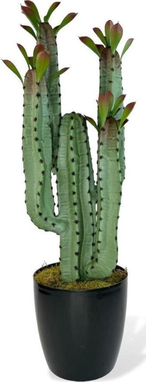 Yapay Çiçek Kaktüs Ağacı 4kollu Kızıl YapraklıSiyah Saksıda 70*22cm 4027