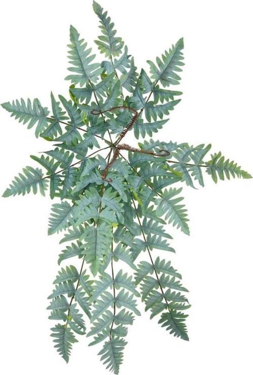 Yapay Çiçek Pastel Cycas Aşk Merdiveni 80cm Eğrelti Otu Sıkas Bitkisi 12 Yaprak 40*80cm Yapay Bitki