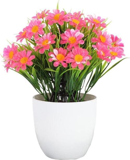 Yapay Çiçek Pembe Papatya Beyaz Saksıda Karışık Renkler