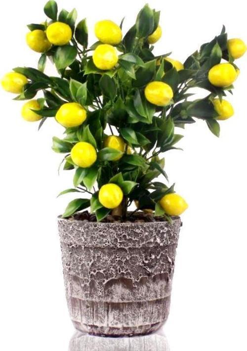 Yapay Çiçek Seramik Saksıda Limon Ağacı