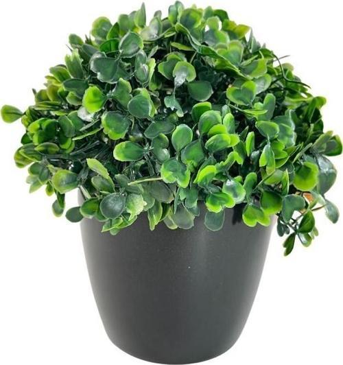 Yapay Çiçek Şimşir Bonus 19*17cm Yapay Bitki Siyah Plastik Saksılı Dekoratif Süs Çiçeği