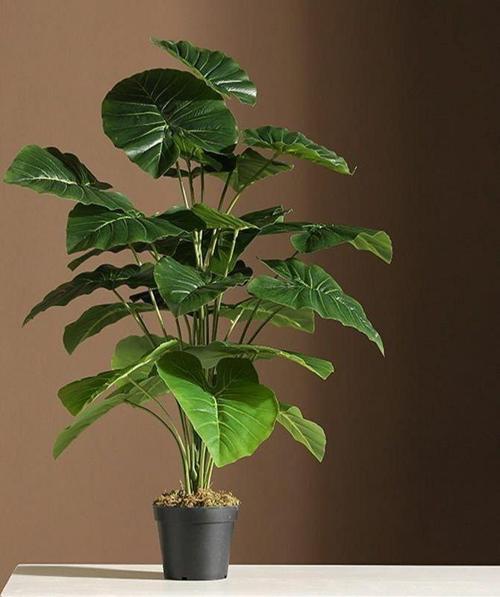 Yapay Çiçek Saksıda Pothos Yeşil 18Dal 60cm Salon Çiçeği Yapay Bitki