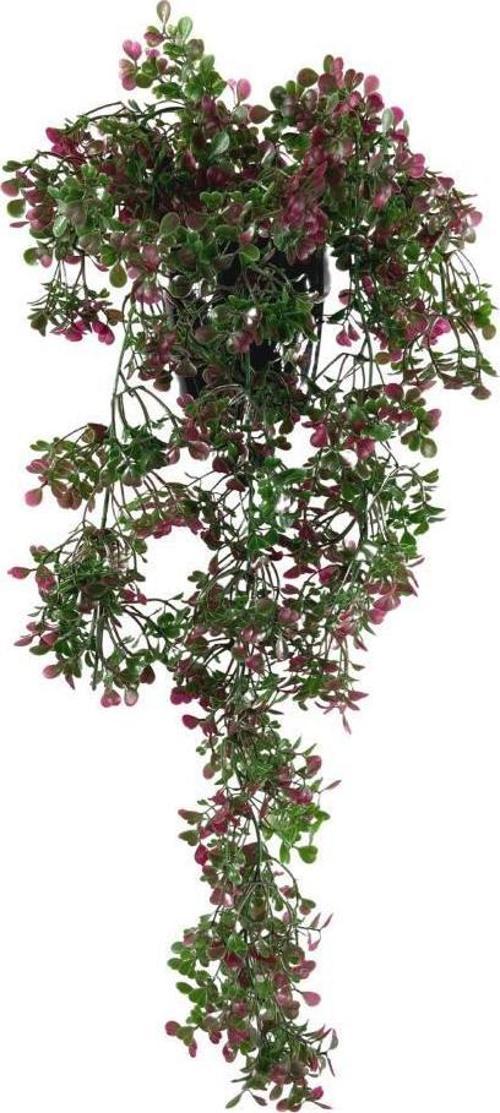 Yapay Çiçek Saksıda Sarkan Bordo Fare Kulağı Şimşir Yapay Sarmaşık Pastel 50cm
