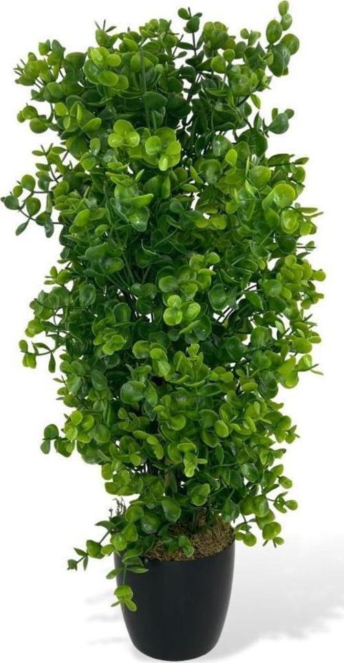 Yapay Çiçek Siyah Saksıda Yeşil Şimşir Ağacı 50cm