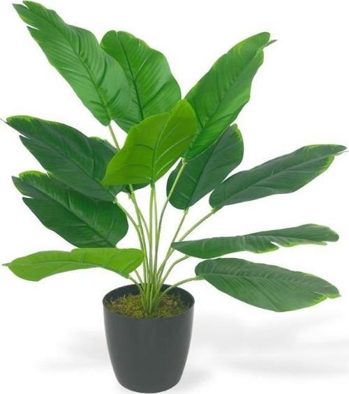 Yapay Çiçek Saksıda Yeşil Muz Yapraklı 12Dal 50cm Salon Çiçeği Yapay Bitki