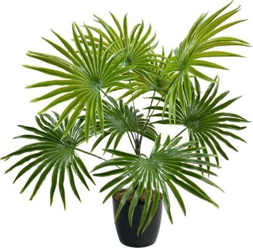 Yapay Çiçek Yelpaze Palmiye 8 Dal 50*40cm Salon Çiçeği Plastik Siyah Saksılı Yapay Bitki