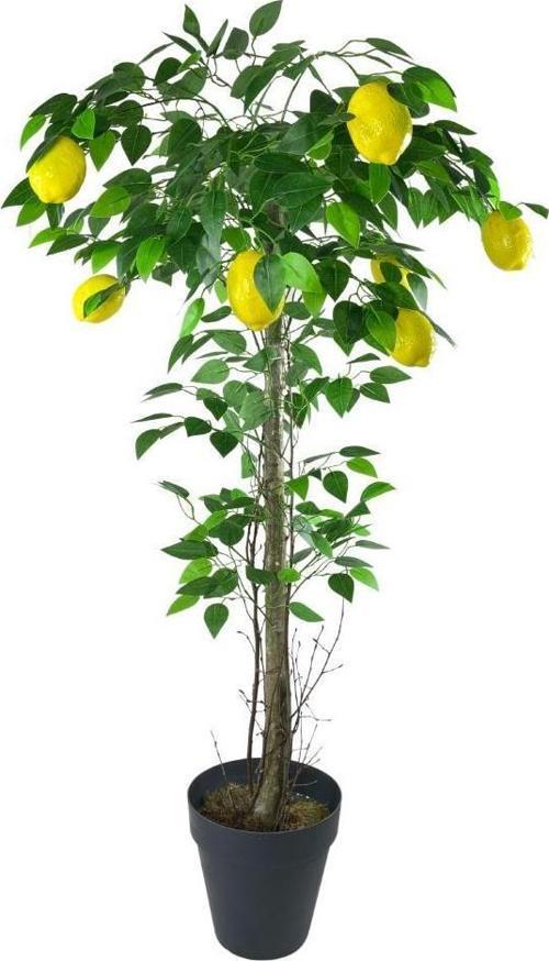 Yapay Limon Ağacı 130cm 8 Limonlu Doğal Görünümlü Siyah Plastik Saksılı Yapay Ağaç