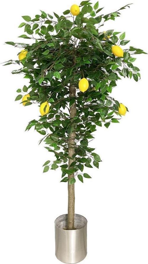Yapay Limon Ağacı 180cm Doğal Görünümlü Yapay Ağaç