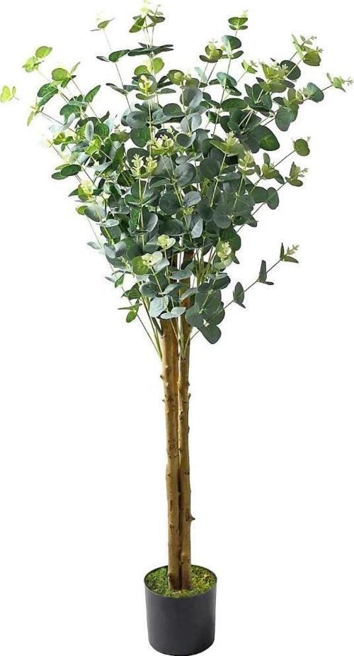 Yapay Okaliptus Ağacı 120cm Doğal Gövdeli Gerçek Görünümlü Yapay Ağaç