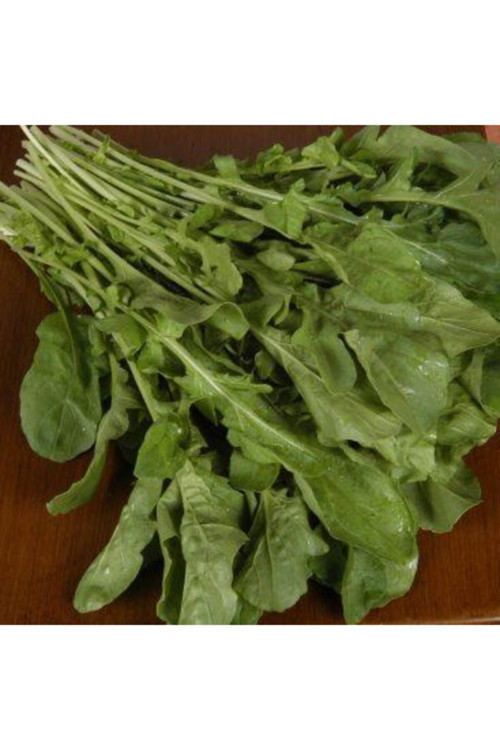 Roka 10 Gram Tohum