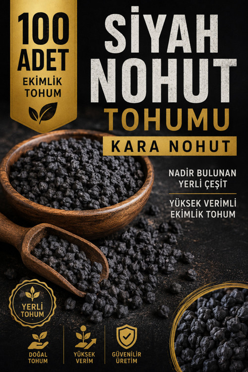 100 Adet Siyah Nohut Tohumu | Kara Nohut | Nadir ve Verimli Ekimlik Tohum