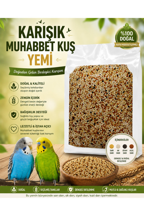 Muhabbet Kuşu İçin Karışık Darı Yemi 500 Gr - Sarı, Ak, Siyah ve Kızıl Darı