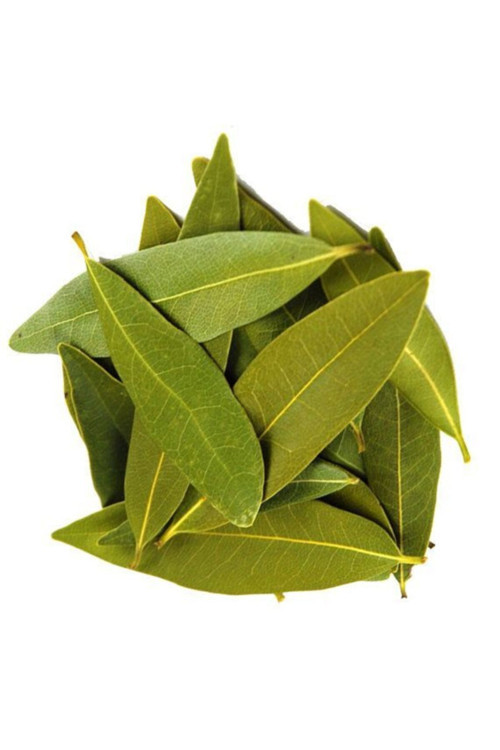 Defne Yaprağı 80gr