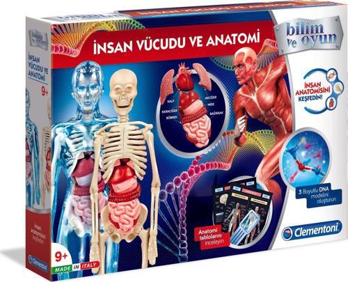 İnsan Vücudu İskelet Kas Sistemi Organlar DNA Modeli Anatomi Kartları Eğitici Bilim Oyuncakları