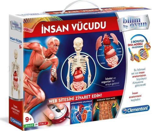 İnsan Vücudu İskelet Kas Sistemi Organlar DNA Modeli Eğitici Bilim Oyuncakları