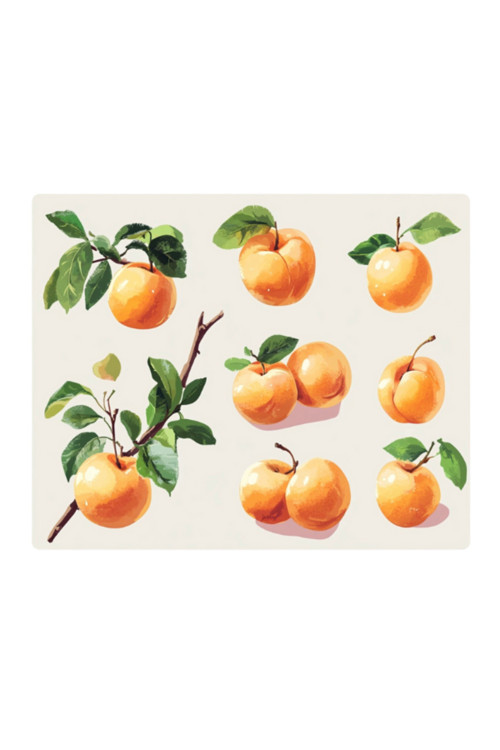 Kayısılar Baskılı Mousepad 17,5x21,5 cm