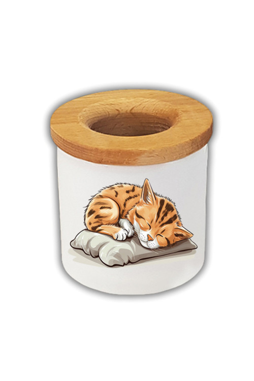 Uyuyan Kedi Baskılı Kalemlik Kalem Kutusu