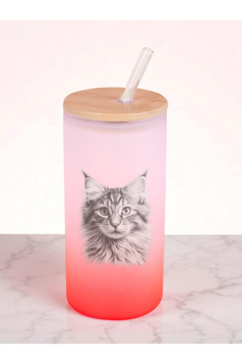 Karakalem Kedi Baskılı 600 ml Cam Matara- Su Matarası, Suluk Matara, Cam Pipetli Matara